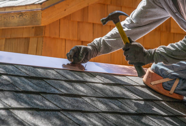 Best Metal Roofing Installation  in Eagar, AZ